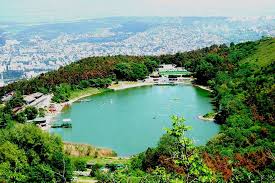 عالم الطبيعة by nawzat shayeb - Illustrated by نوزت شايب - Ourboox.com