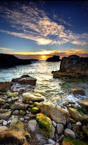 عالم الطبيعة by nawzat shayeb - Illustrated by نوزت شايب - Ourboox.com