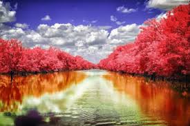 عالم الطبيعة by nawzat shayeb - Illustrated by نوزت شايب - Ourboox.com