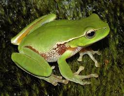 כוחן של מילים by May benita - Ourboox.com