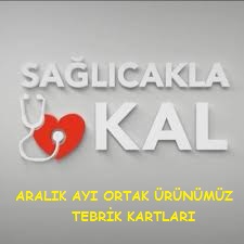  by Sinan GÜNDOĞDU - Illustrated by ARALIK AYI ORTAK ÜRÜNÜMÜZ. - Ourboox.com