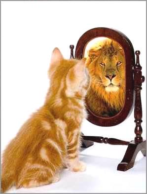 חשיבות הקריאה by גבריאל פורט - Ourboox.com