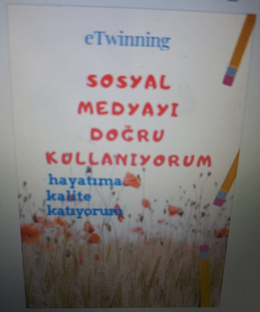 Sosyal Medyayı Doğru Kullanıyorum by Funda Talay - Ourboox.com