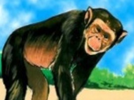 القرد والغيلم by enas watad - Illustrated by من اعداد: خالد محمد اسعد -التاسع 2 مدرسة اجيال الاعدادية  - Ourboox.com