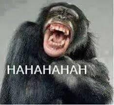 القرد والغيلم by enas watad - Illustrated by من اعداد: خالد محمد اسعد -التاسع 2 مدرسة اجيال الاعدادية  - Ourboox.com