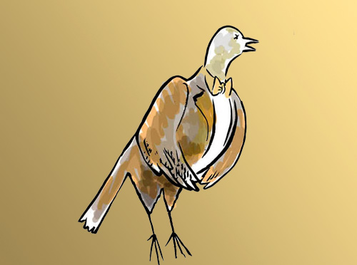 דירה להשכיר by oranit - Illustrated by שמואל כץ - Ourboox.com