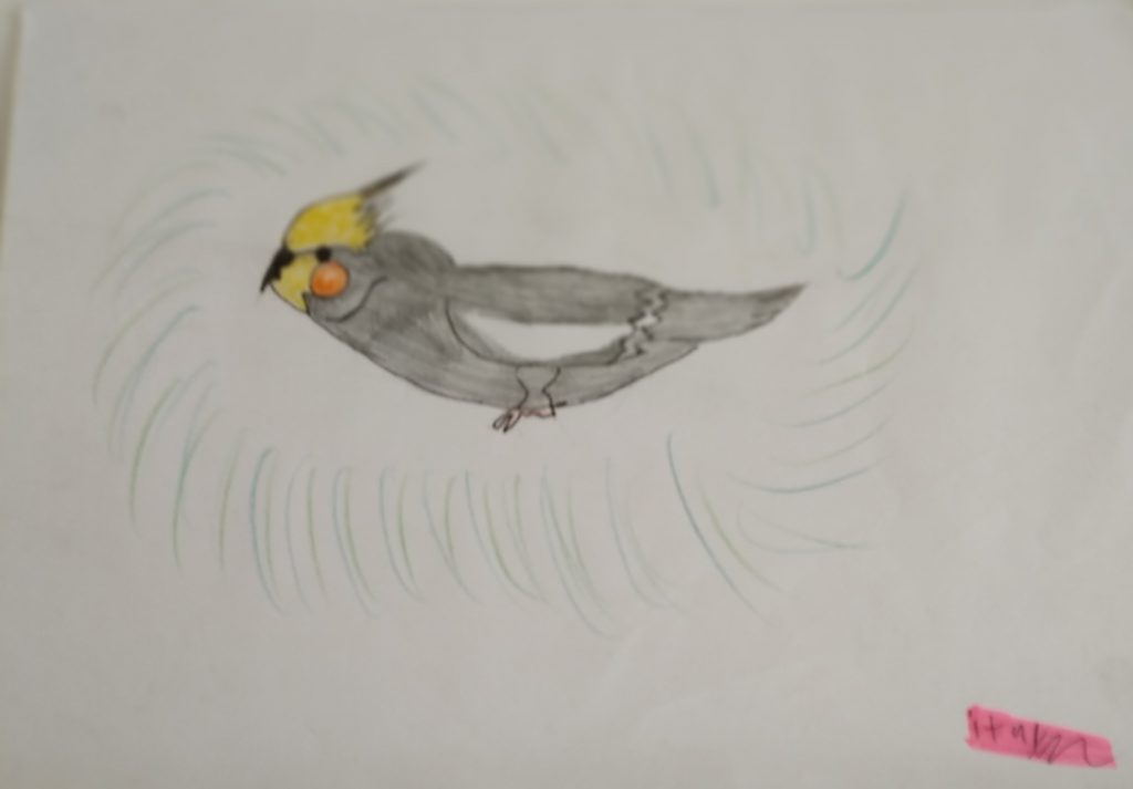 אומנים צעירים ב”רמז”- שנת הלימודים תשע”ט by ronit - Ourboox.com