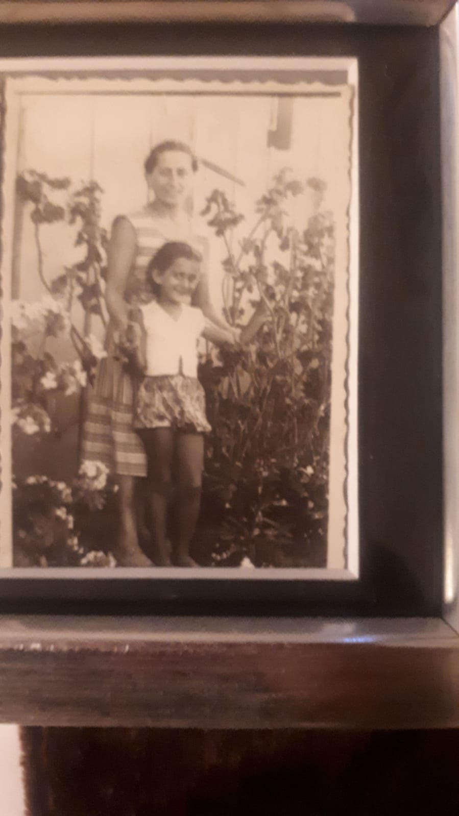 סיפור העלייה של סבתא אילנה- מיקה הלפרין by hovav - Ourboox.com