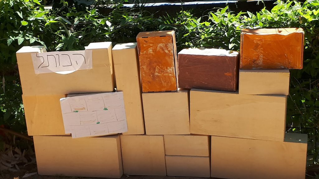 אפרים מטייל בירושלים by olga - Illustrated by ילדי גן דובדבן - Ourboox.com