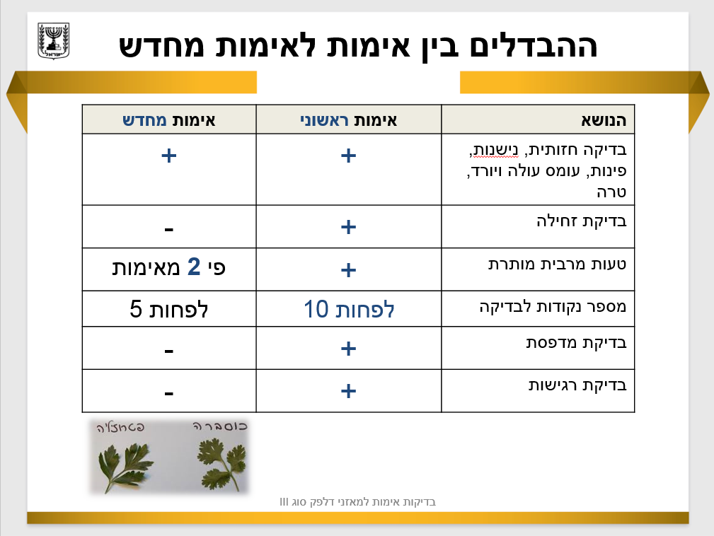 בדיקת אימות למאזני דלפק סוג 3 by Tomy Glantz - Illustrated by טומי גלנץ - Ourboox.com