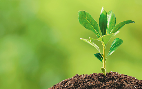 אֵיתָן שׁוֹתֵל עֵץ by purit - Illustrated by עודד בורלא - Ourboox.com