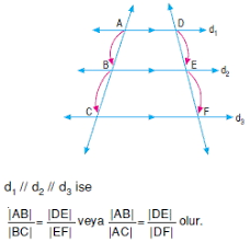 Ünlü Matematikçiler by Özlem okuyan - Ourboox.com