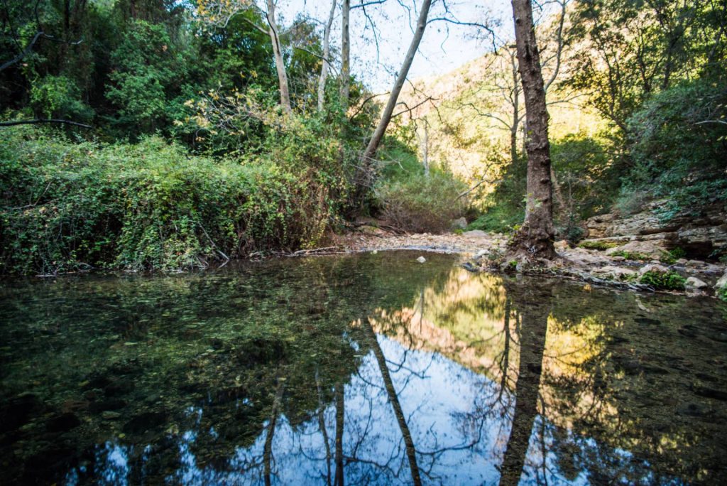 סביבת הנחל היא שמורת טבע בה נמצאים מבצר המונפור ומִבנים צלבניים אחרים. לאורך הערוץ מספר מעינות ביניהם עין זיו, עין טמיר, ועין חרדלית. בעין טמיר קיימת נקבה צרה וארוכה, בכניסה הוצבה אזהרה של רשות הטבע מפני כניסה לנקבה מחשש התמוטטות. זיהום המים בנחל כזיב נמוך בהשוואה לנחלים אחרים בישראל.