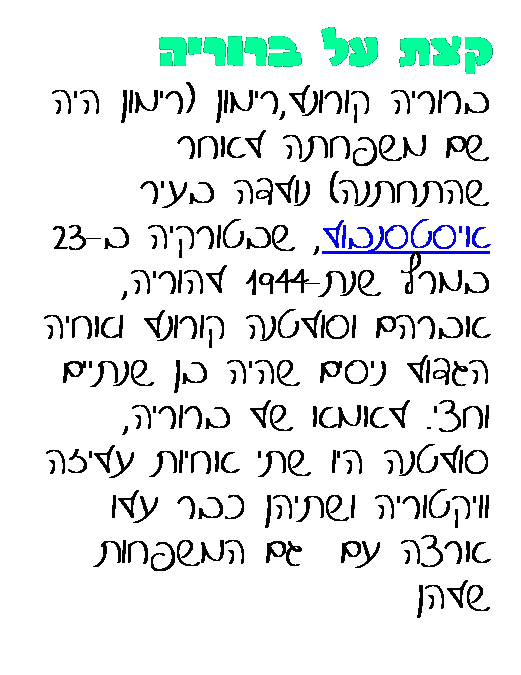 סיפור העלייה של ברורייה רימון by hovav - Ourboox.com