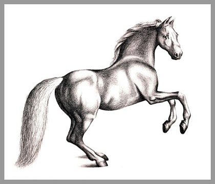 حرف الحاء (ح – حـ ) by doaa - Illustrated by اعداد المعلمة : دعاء زيادنة - Ourboox.com