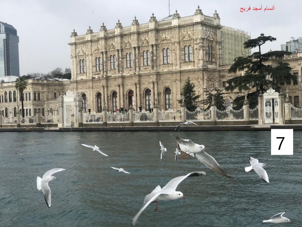 مسابقة التصوير by Hasan Sarsour - Ourboox.com