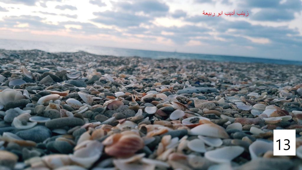 مسابقة التصوير by Hasan Sarsour - Ourboox.com