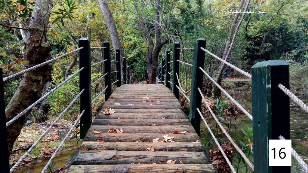 مسابقة التصوير by Hasan Sarsour - Ourboox.com