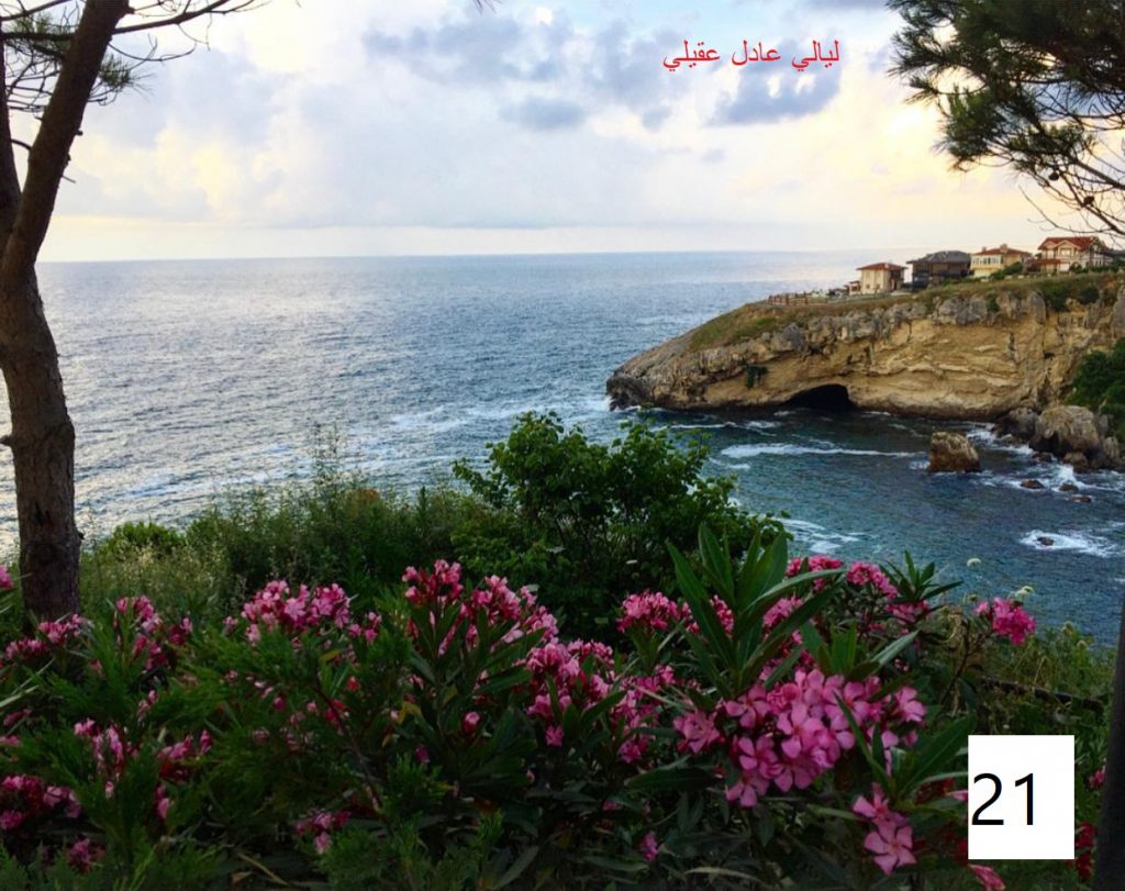 مسابقة التصوير by Hasan Sarsour - Ourboox.com