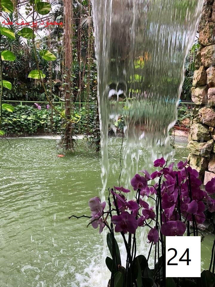 مسابقة التصوير by Hasan Sarsour - Ourboox.com