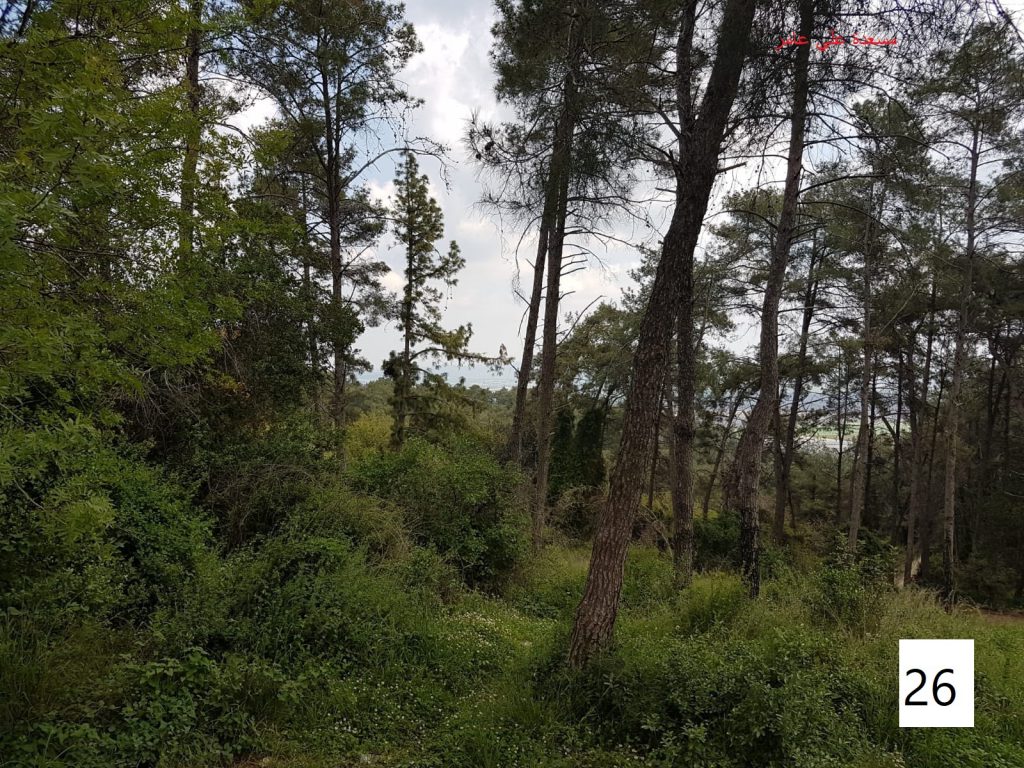 مسابقة التصوير by Hasan Sarsour - Ourboox.com