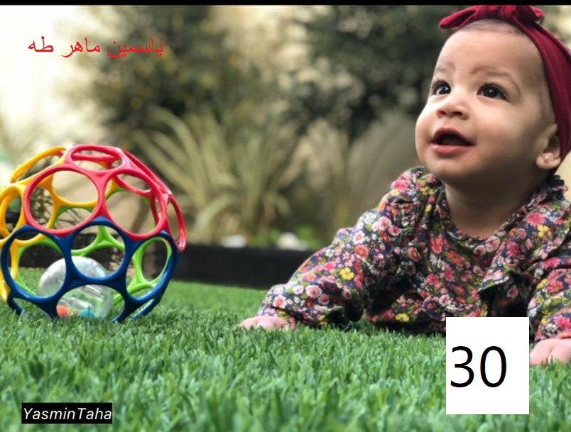مسابقة التصوير by Hasan Sarsour - Ourboox.com