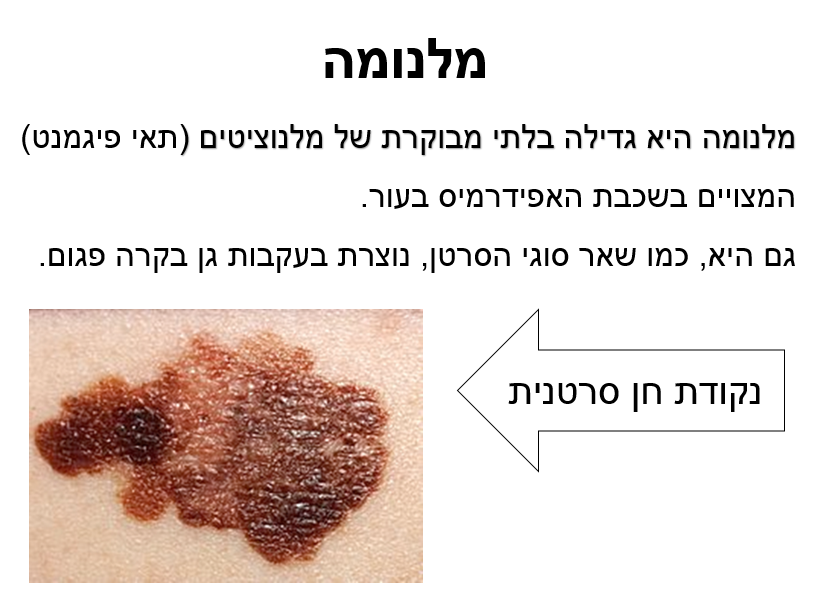 יישומים בביוטכנולוגיה by Gal - Ourboox.com