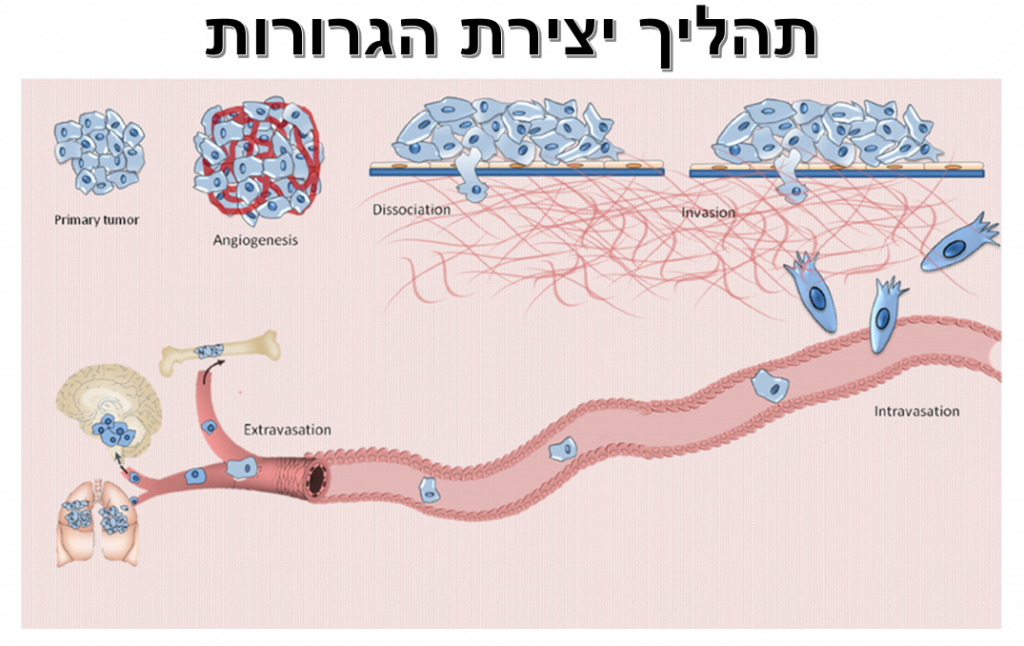 יישומים בביוטכנולוגיה by Gal - Ourboox.com