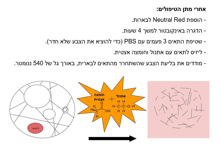 יישומים בביוטכנולוגיה by Gal - Ourboox.com