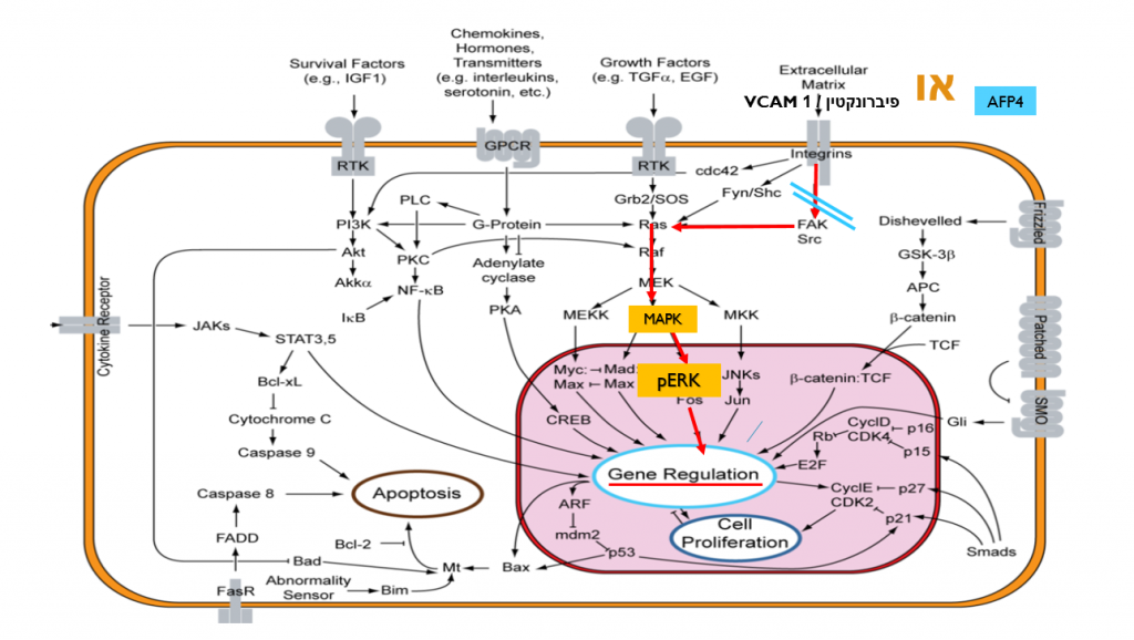 יישומים בביוטכנולוגיה by Gal - Ourboox.com