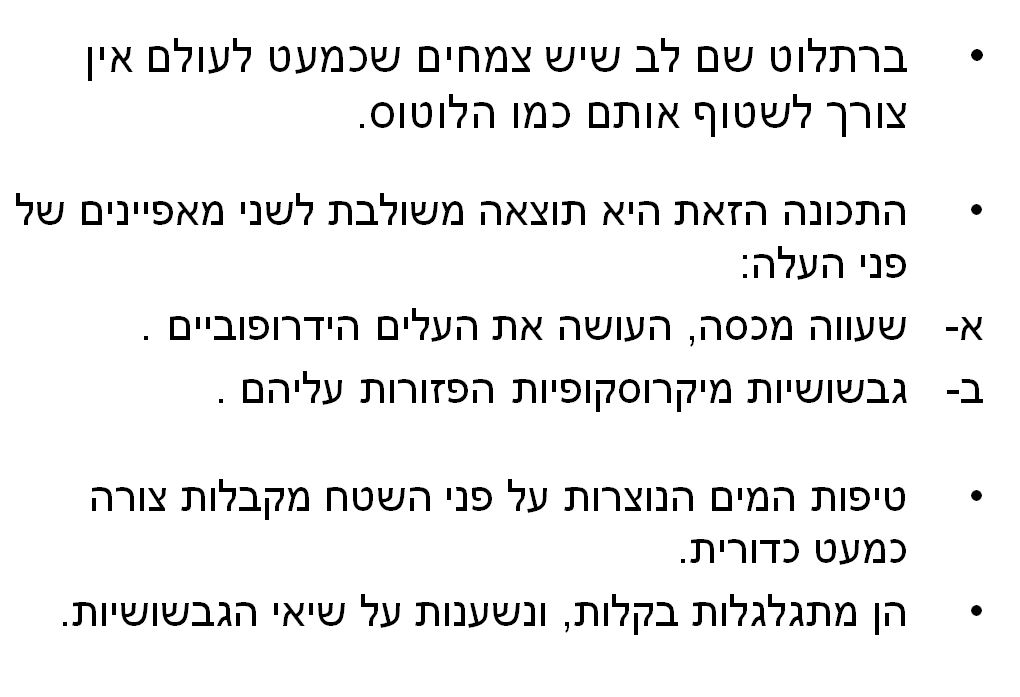 ביומימיקרי by ‪Rachel Buaron‬‏ - Illustrated by רחל בוארון - נחשון - Ourboox.com