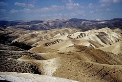 in the forst by illy trattner - Ourboox.com