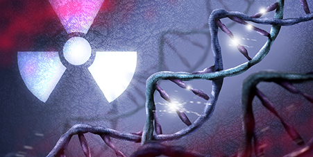 רפואה גרעינית by ania shmukler - Ourboox.com