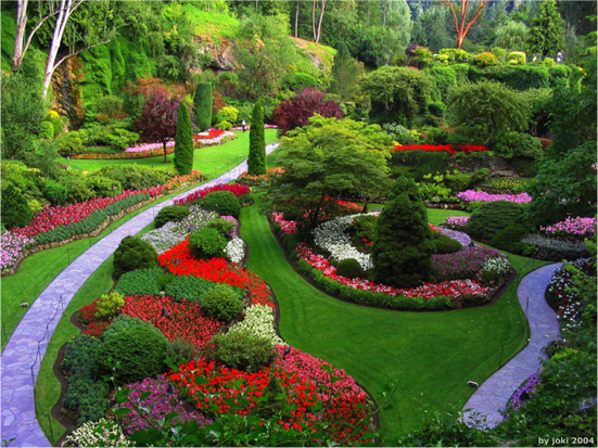 The Merchant’s Tale by Valeria Sicignano - Ourboox.com