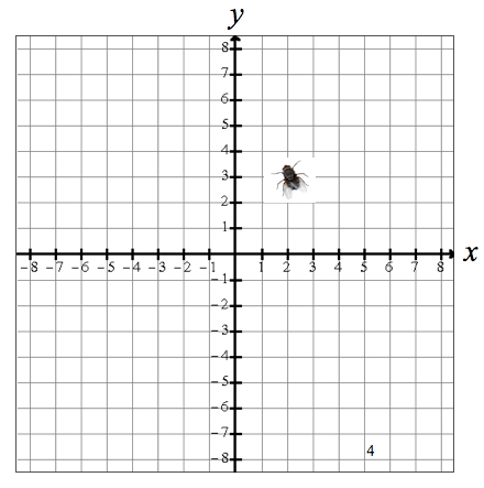 הזבוב של דקארט by Ofer - Ourboox.com