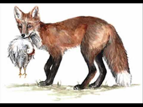 The nun’s priest by Giorgia Bruschi - Ourboox.com