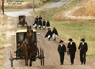 The Amish By Eden Deli and Shiri Ozery by Eden - Illustrated by Eden Deli and Shiri Ozery - Ourboox.com