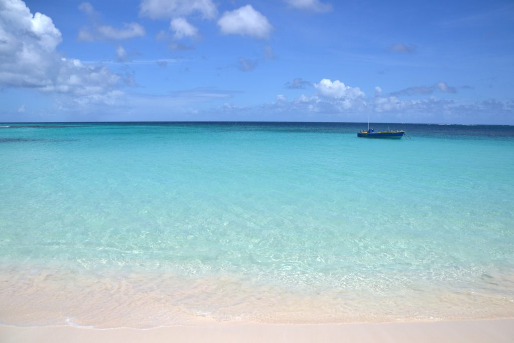 If I were Hacklebarry Finn by angela caccese - Illustrated by Angela Caccese - Ourboox.com