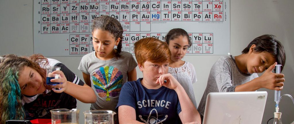 STEM by Suna Karaboğa - Ourboox.com