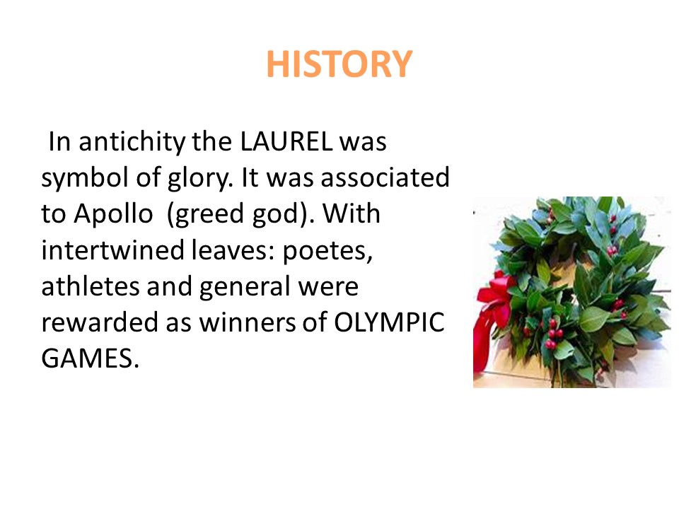 LAUREL by tiziana baratta - Illustrated by Secondary School "Dante Alighieri" - Ourboox.com