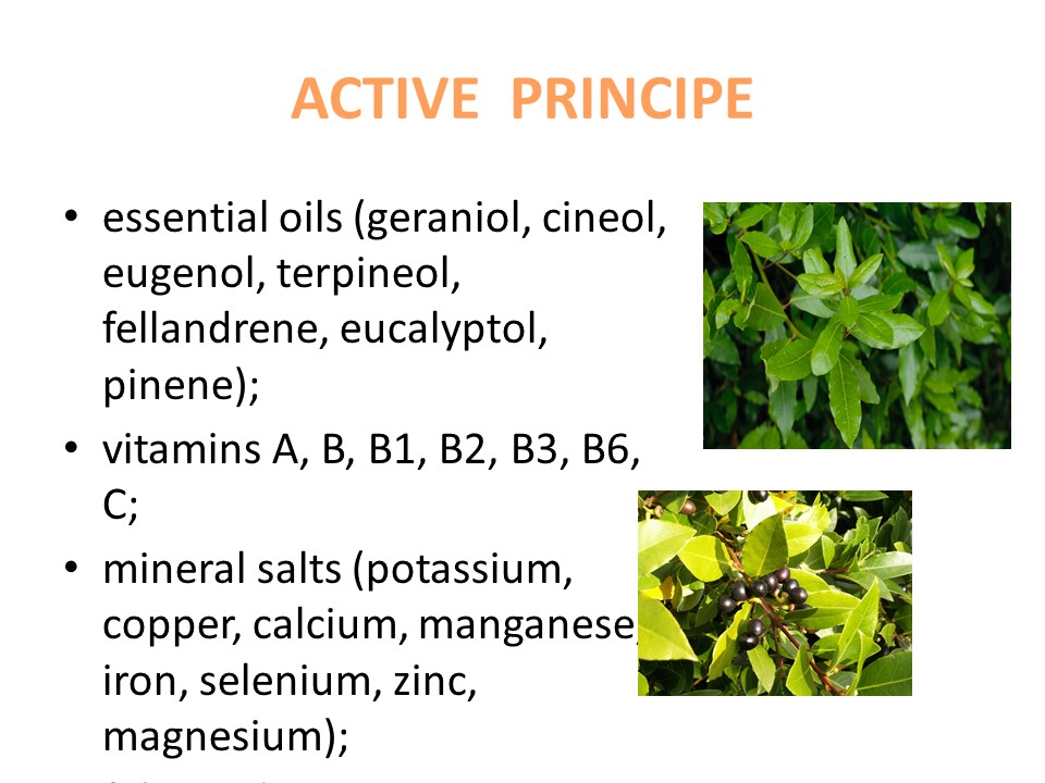 LAUREL by tiziana baratta - Illustrated by Secondary School "Dante Alighieri" - Ourboox.com