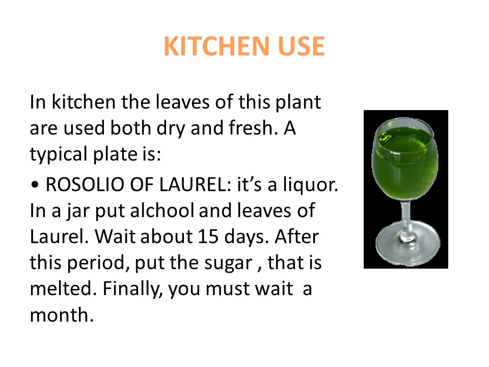 LAUREL by tiziana baratta - Illustrated by Secondary School "Dante Alighieri" - Ourboox.com