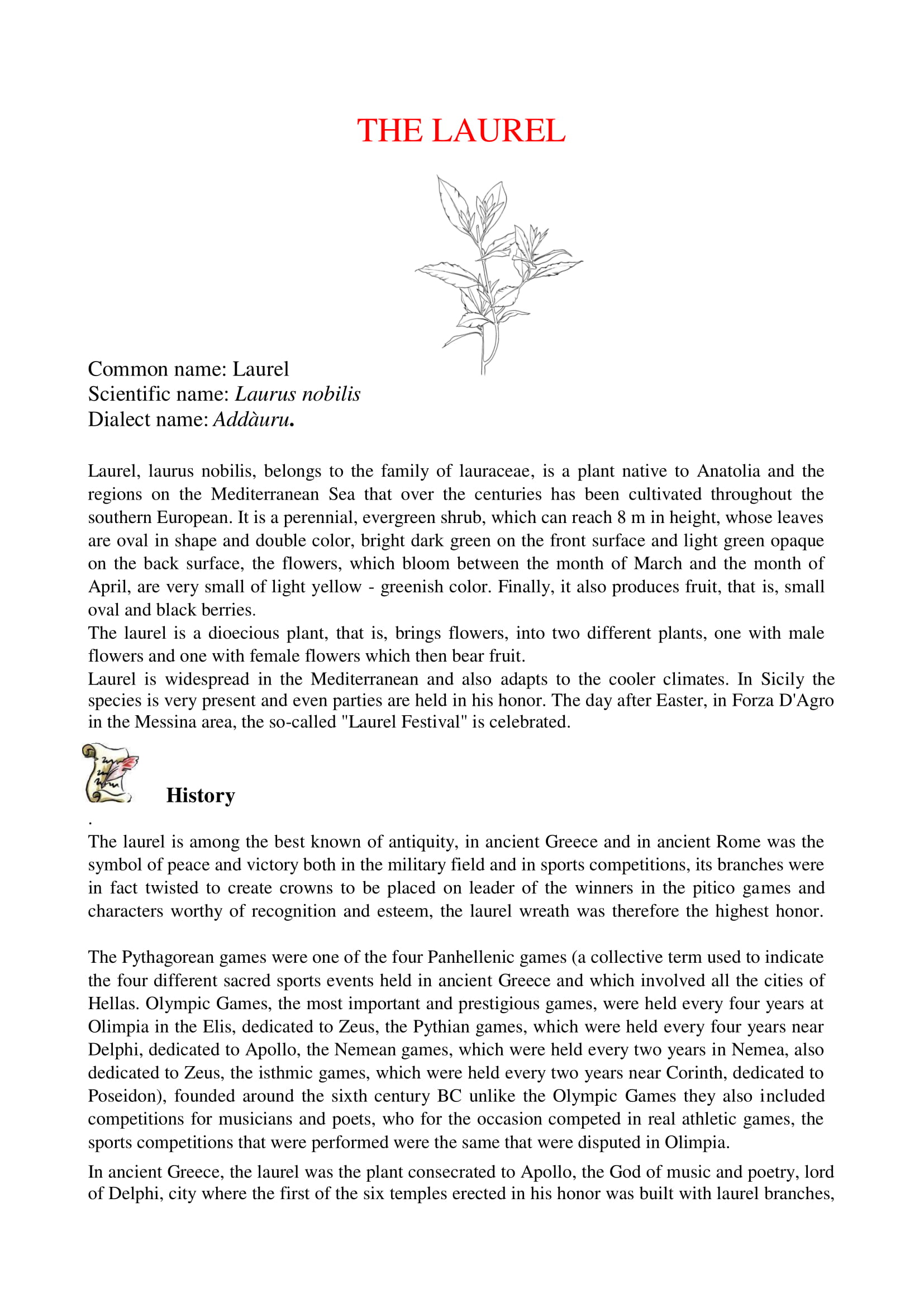 Sicilian Officinal plants by dante alighieri - Illustrated by 2°L class - Ourboox.com