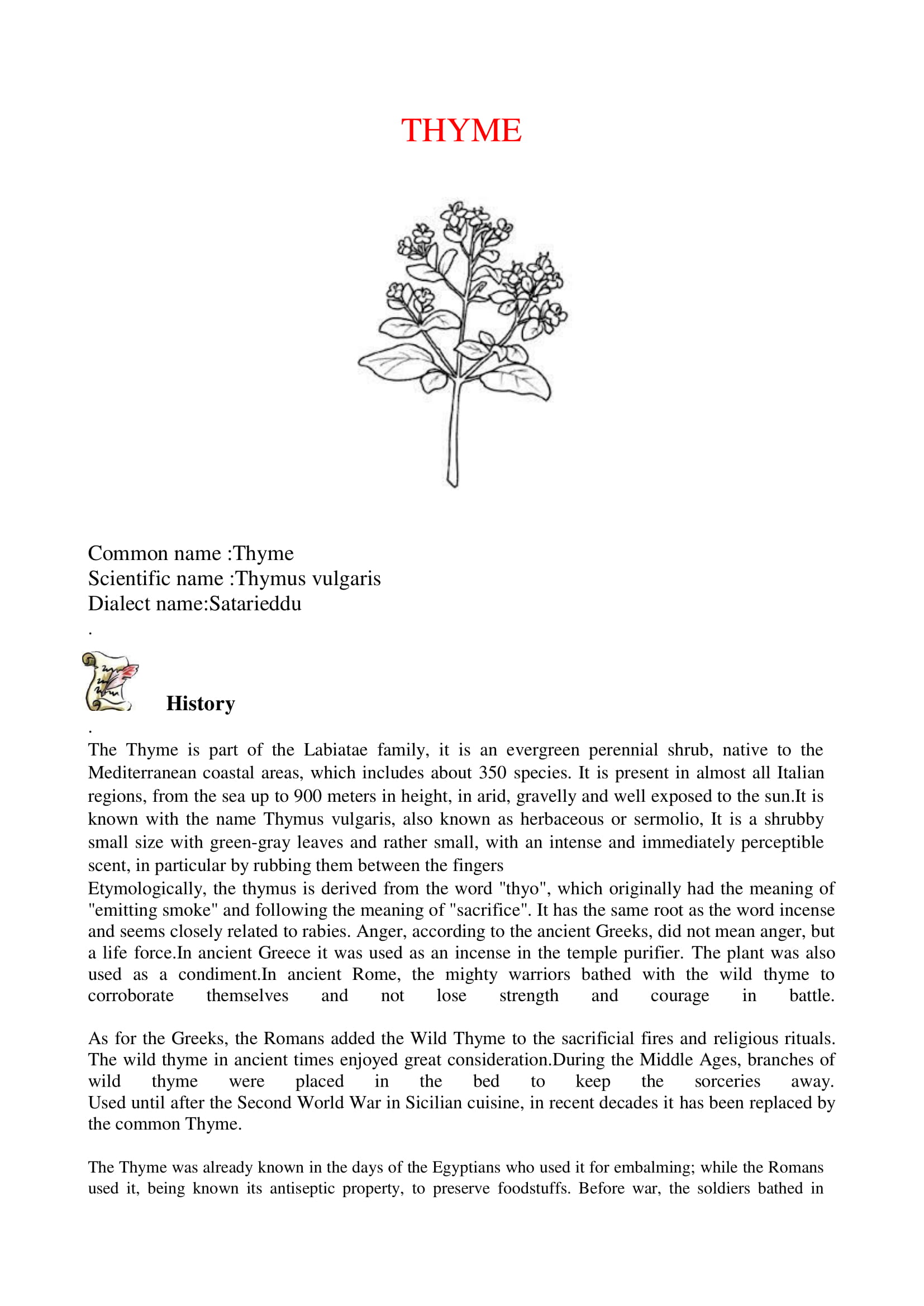 Sicilian Officinal plants by dante alighieri - Illustrated by 2°L class - Ourboox.com