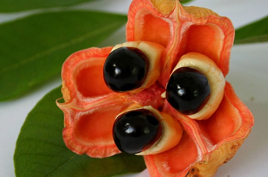 حقائق وغرائب by Ameera - Ourboox.com