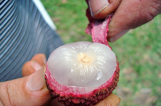 حقائق وغرائب by Ameera - Ourboox.com