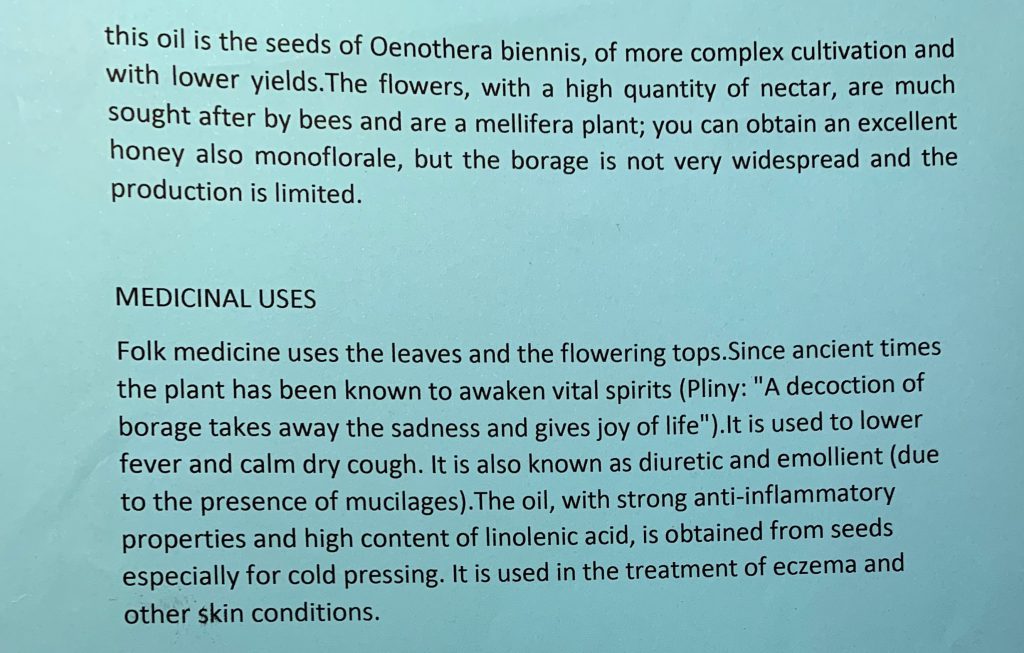 BORRAGO OFFICINALIS by dante alighieri - Illustrated by 2° I class: Spinale, Ruggeri, Gisabella, Coco, Cambria, S. Cartillone, M. Clemente, P. Maltese, C. Sicurella, N. Betto, L. Giglio, B.M. Alberto, L. Pastorina, F. Zappalà. - Ourboox.com