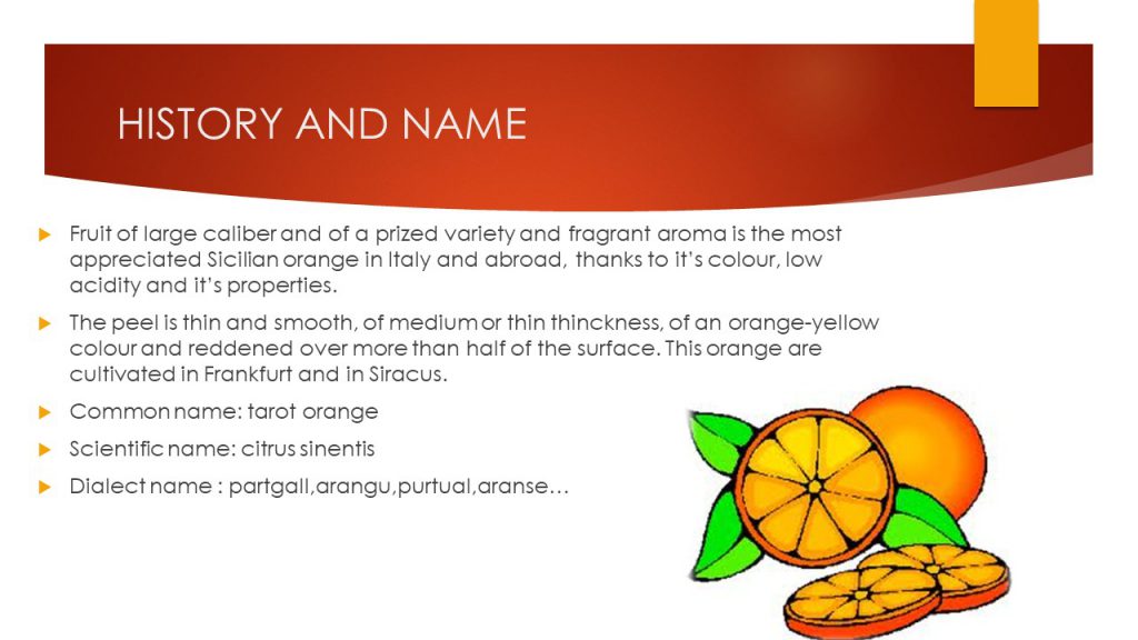 Red orange by dante alighieri - Illustrated by 2° D class - Ourboox.com