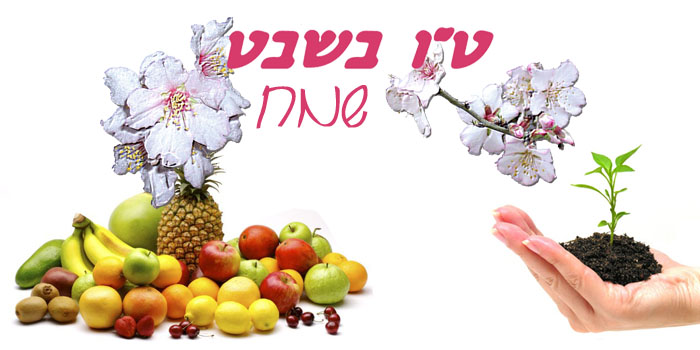 חגי ישראל – מאת: תמי פרץ וחן סעדון by tami perez - Ourboox.com