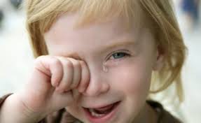 קיפוד בא לחצר by renana - Illustrated by כְּריסְטינָה קַדמוֹן - Ourboox.com